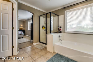 9703 E Impala Ave, Mesa, AZ 85209 photo 49