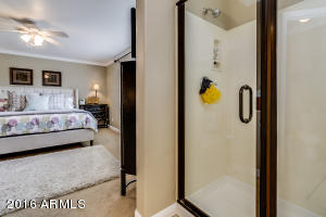 9703 E Impala Ave, Mesa, AZ 85209 photo 51