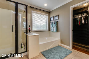 9703 E Impala Ave, Mesa, AZ 85209 photo 50