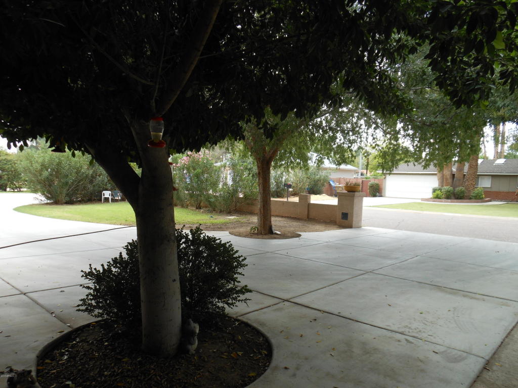 8015 N 8th Ave, Phoenix, AZ 85021 photo 32
