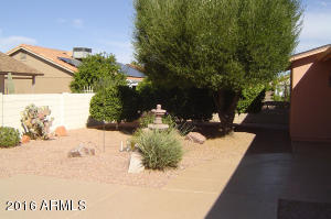 1520 E County Down Dr, Chandler, AZ 85249 photo 12