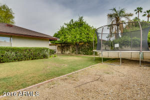 2437 E Ivyglen St, Mesa, AZ 85213 photo 47