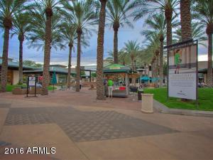 4383 E Rosemonte Dr, Phoenix, AZ 85050 photo 41
