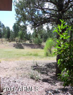 2017 N Mclane Rd, Payson, AZ 85541 photo 23