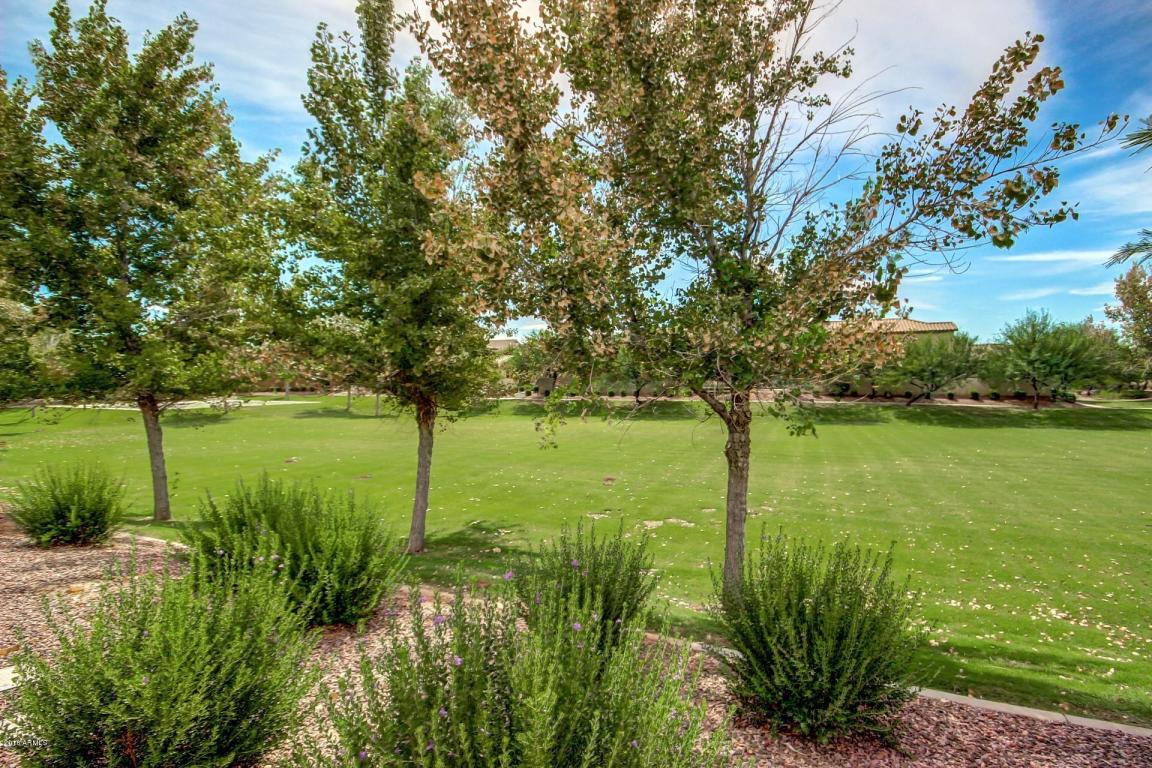 3831 E Baars Ave, Gilbert, AZ 85297 photo 35