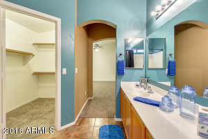 10243 E Capri Ave, Mesa, AZ 85208 photo 20