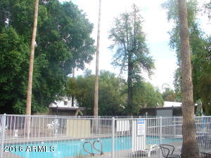 1101 E Bethany Home Rd #3, Phoenix, AZ 85014 photo 13