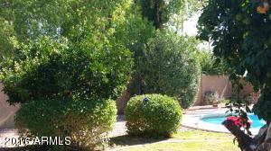 4530 E Joan De Arc Ave, Phoenix, AZ 85032 photo 27