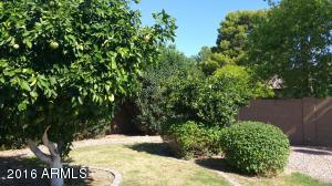 4530 E Joan De Arc Ave, Phoenix, AZ 85032 photo 26