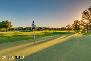 9949 E Lindner Ave, Mesa, AZ 85209 photo 37