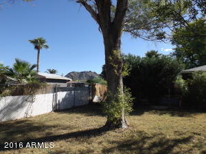 1212 E Carol Ave, Phoenix, AZ 85020 photo 1