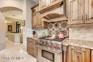 463 Elgin St, Gilbert, AZ 85295 photo 22