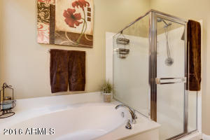 463 Elgin St, Gilbert, AZ 85295 photo 39