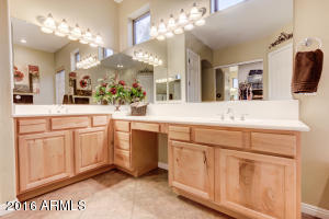 463 Elgin St, Gilbert, AZ 85295 photo 42