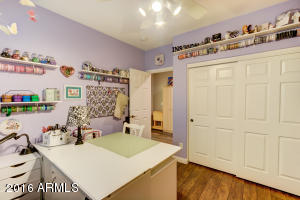463 Elgin St, Gilbert, AZ 85295 photo 62
