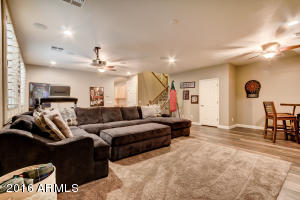 463 Elgin St, Gilbert, AZ 85295 photo 57