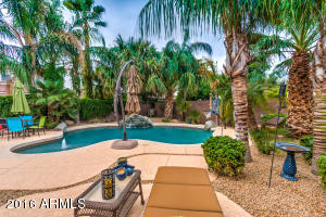 463 Elgin St, Gilbert, AZ 85295 photo 66