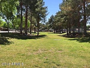 1026 E Harvard Ave, Gilbert, AZ 85234 photo 23
