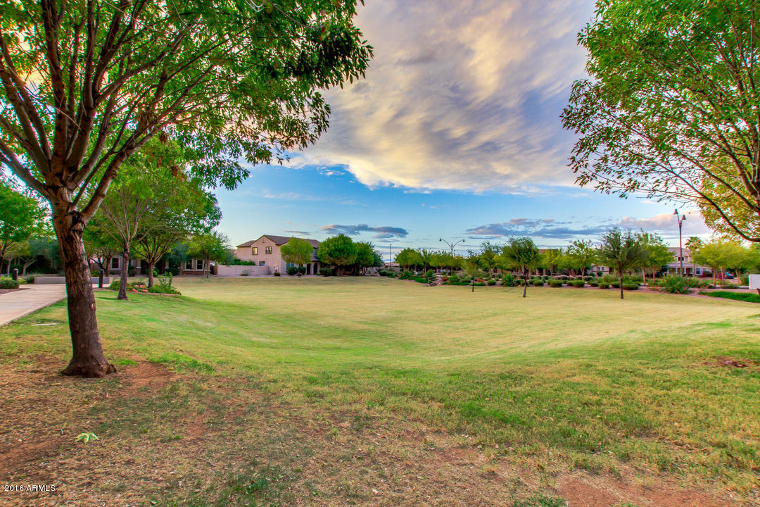 2992 E Ivanhoe St, Gilbert, AZ 85295 photo 41