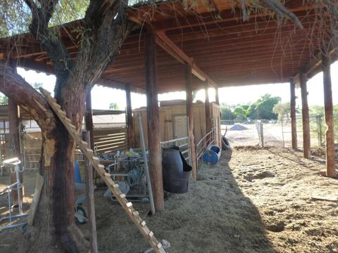 604 N 39 Th Ave, Phoenix, AZ 85009 photo 10