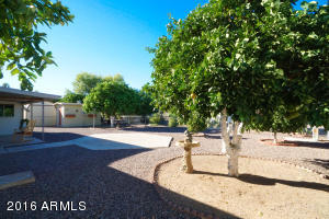 6226 E Dodge St, Mesa, AZ 85205 photo 37
