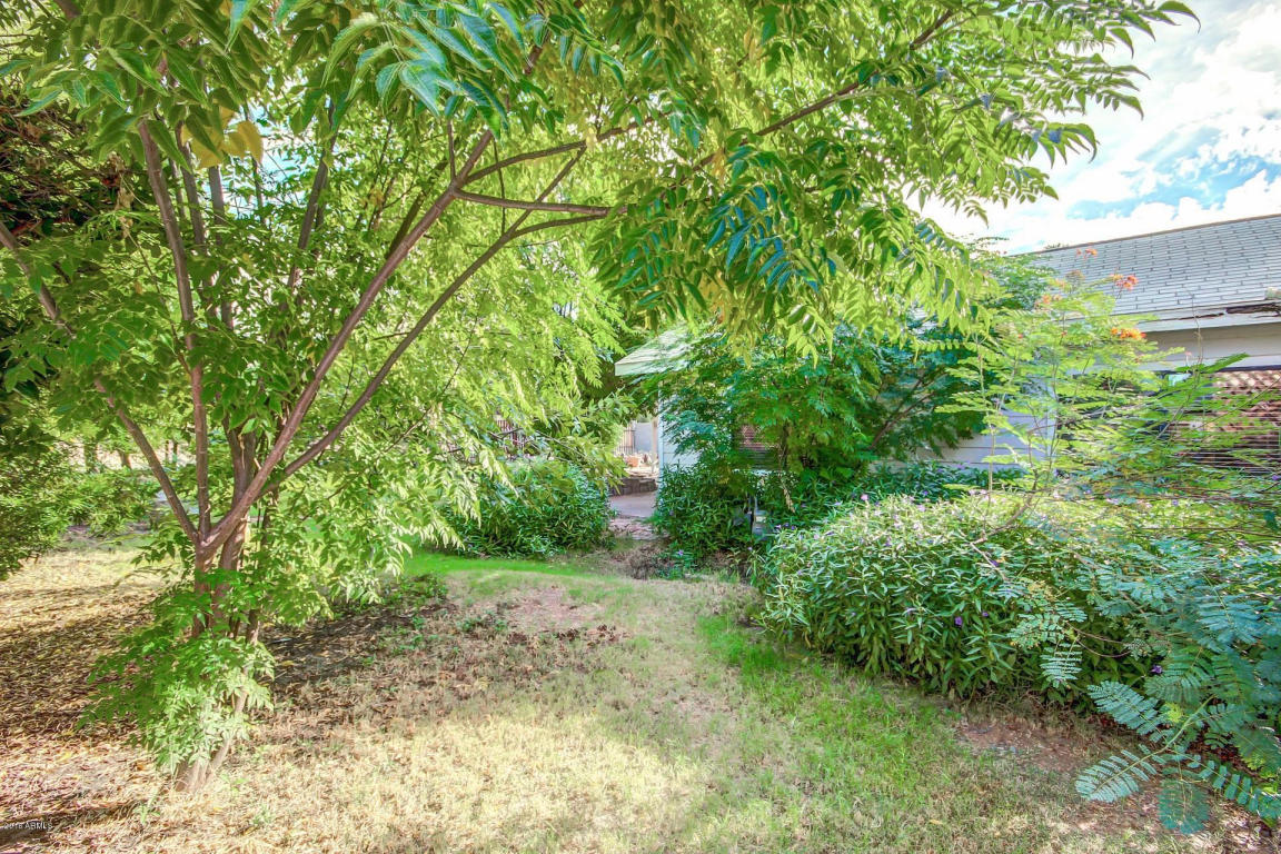 1049 E Spence Ave, Tempe, AZ 85281 photo 20