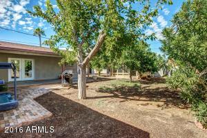 1414 E Williams St, Tempe, AZ 85281 photo 26