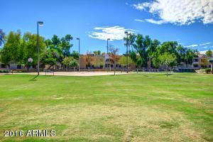 1414 E Williams St, Tempe, AZ 85281 photo 34
