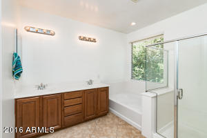 3918 E Morrison Ranch Pkwy, Gilbert, AZ 85296 photo 21