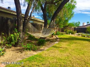1509 E Taro Ln, Phoenix, AZ 85024 photo 5