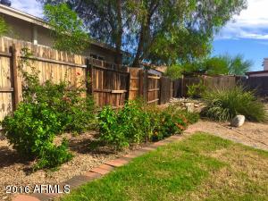 1509 E Taro Ln, Phoenix, AZ 85024 photo 8