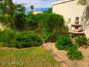 1509 E Taro Ln, Phoenix, AZ 85024 photo 6