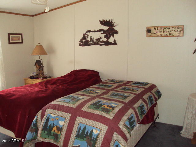 2032 Bald Eagle Ct, Overgaard, AZ 85933 photo 13