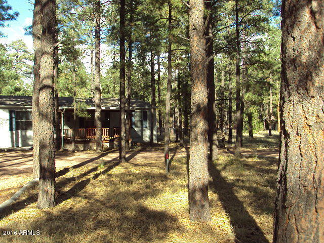 2032 Bald Eagle Ct, Overgaard, AZ 85933 photo 29
