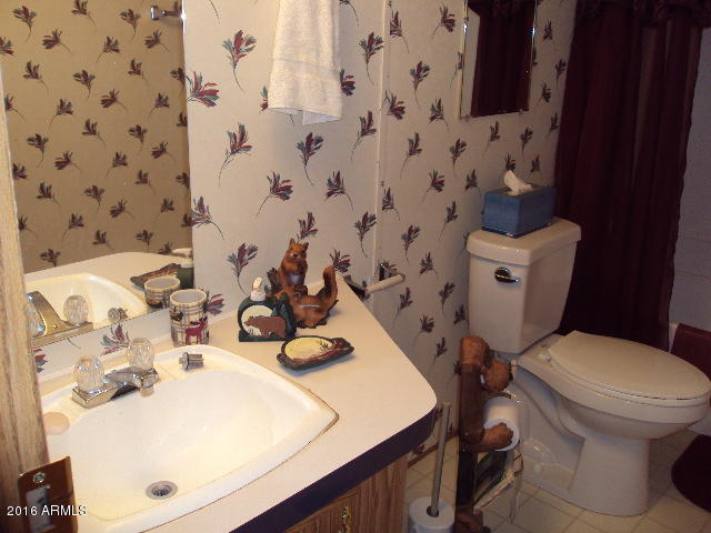 2032 Bald Eagle Ct, Overgaard, AZ 85933 photo 24