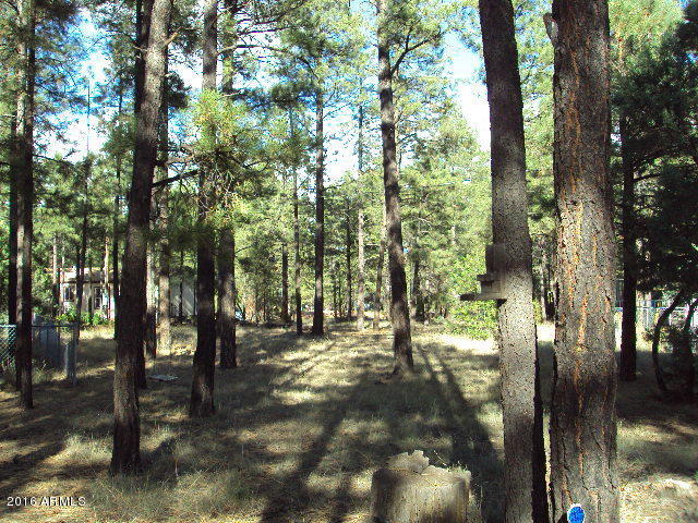 2032 Bald Eagle Ct, Overgaard, AZ 85933 photo 33