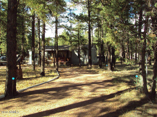2032 Bald Eagle Ct, Overgaard, AZ 85933 photo 32