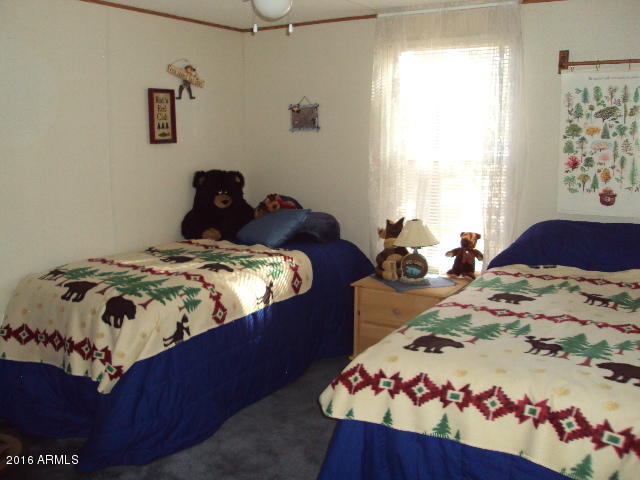 2032 Bald Eagle Ct, Overgaard, AZ 85933 photo 20