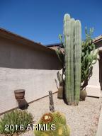 11258 Edgewood Ave, Mesa, AZ 85208 photo 10