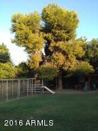 513 N Cherry St, Mesa, AZ 85201 photo 8