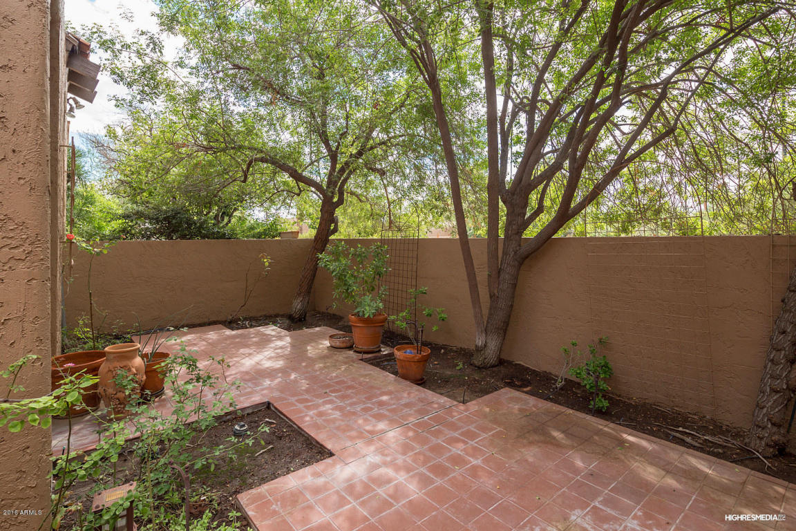 4446 E Camelback Rd #108, Phoenix, AZ 85018 photo 19
