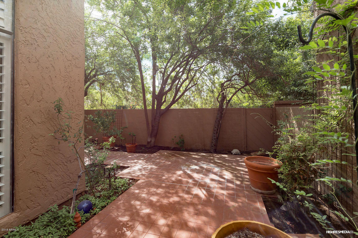 4446 E Camelback Rd #108, Phoenix, AZ 85018 photo 20