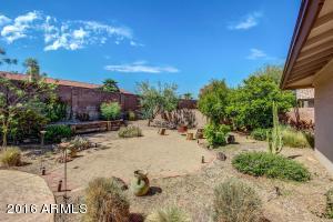 201 E Paradise Ln, Phoenix, AZ 85022 photo 24