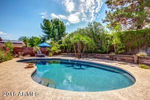 201 E Paradise Ln, Phoenix, AZ 85022 photo 19