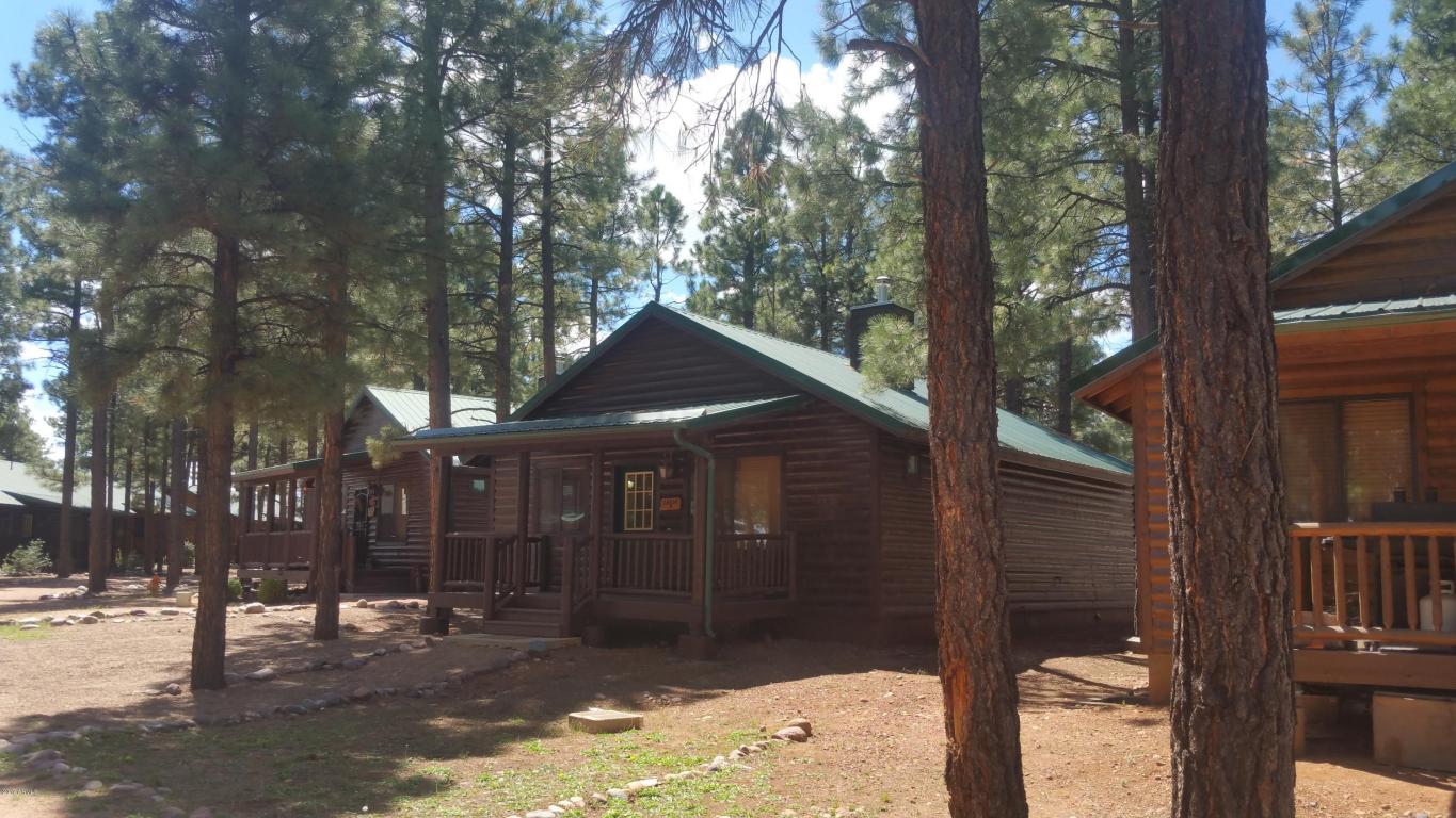 2710 High Pine Loop, Overgaard, AZ 85933 photo 20