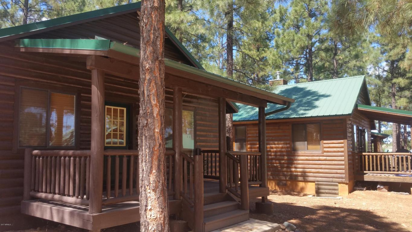 2710 High Pine Loop, Overgaard, AZ 85933 photo 6