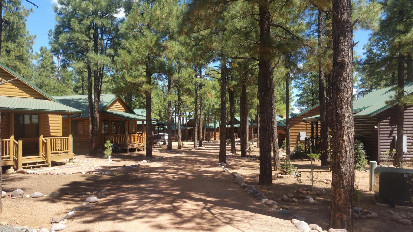 2710 High Pine Loop, Overgaard, AZ 85933 photo 5