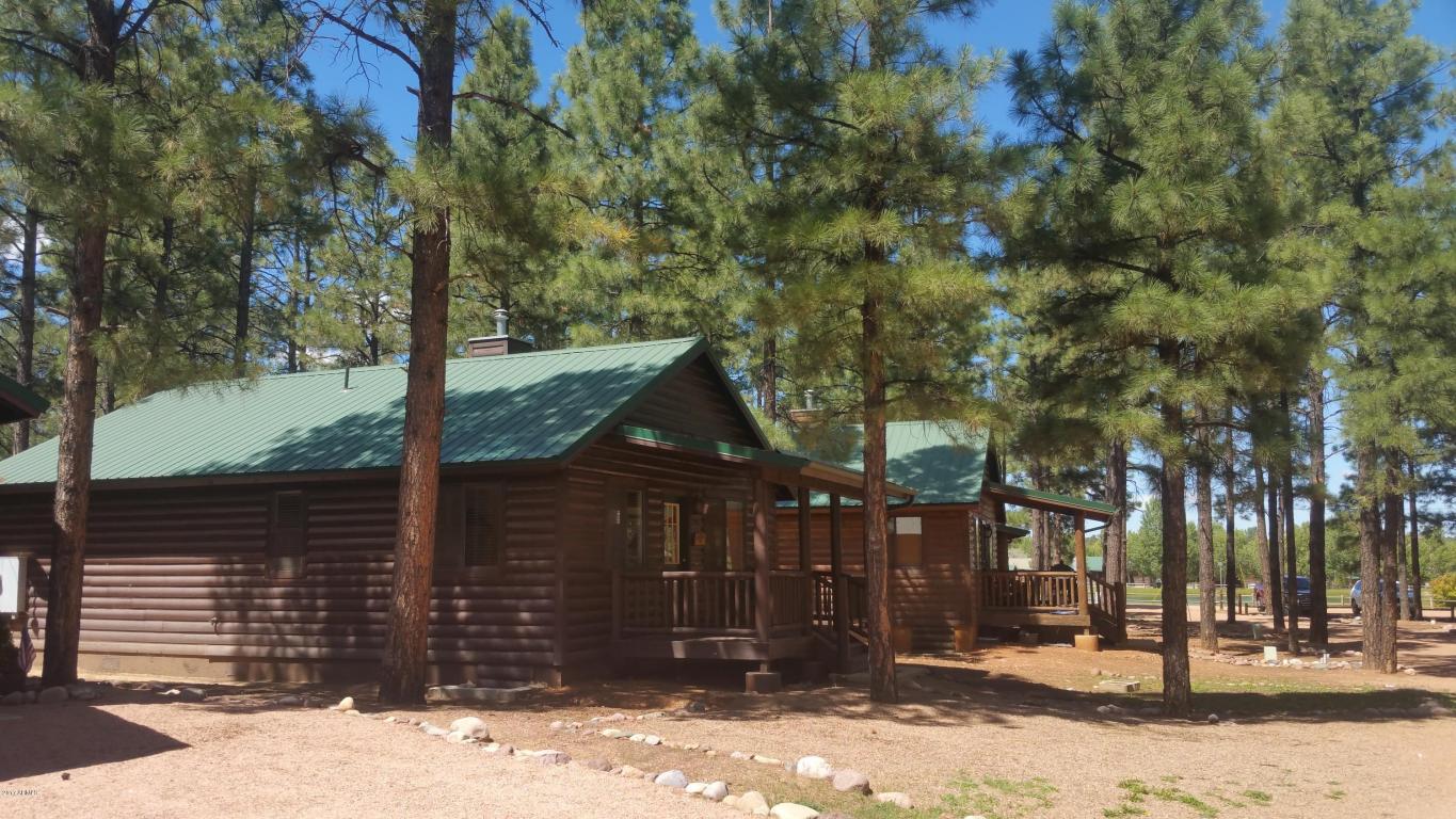 2710 High Pine Loop, Overgaard, AZ 85933 photo 2