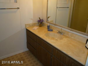 4558 E Dragoon Ave, Mesa, AZ 85206 photo 14