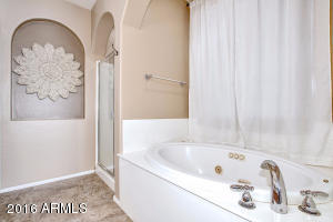 2967 E Camellia Dr, Gilbert, AZ 85296 photo 6